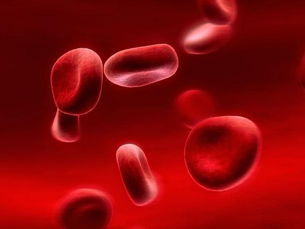 bệnh máu khó đông hemophilia